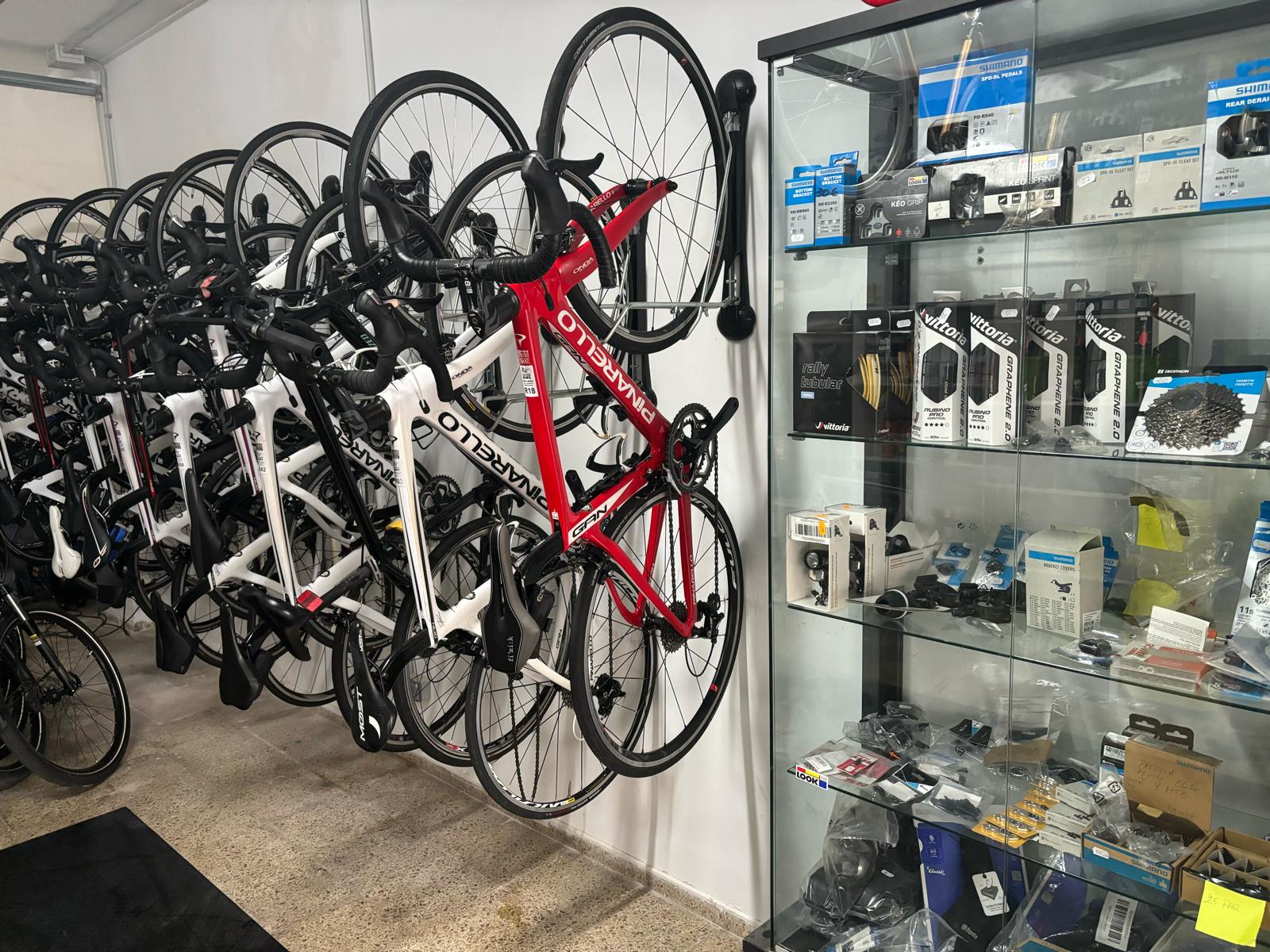 Why not Cycling - Palmanova